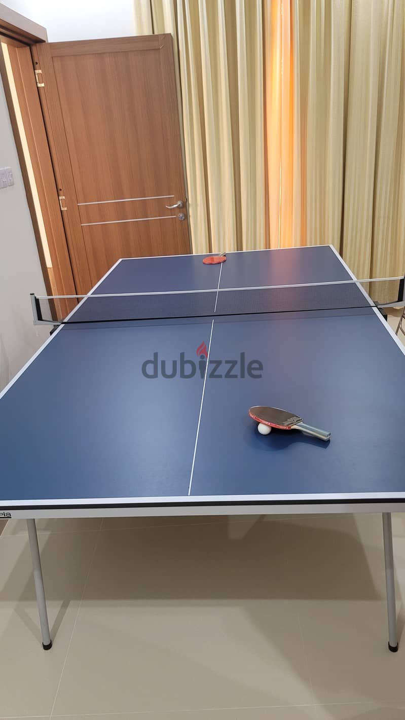 New Table Tennis with balls 1