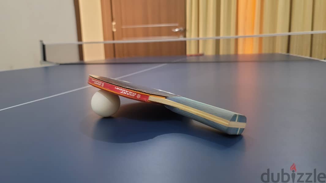 New Table Tennis with balls 2