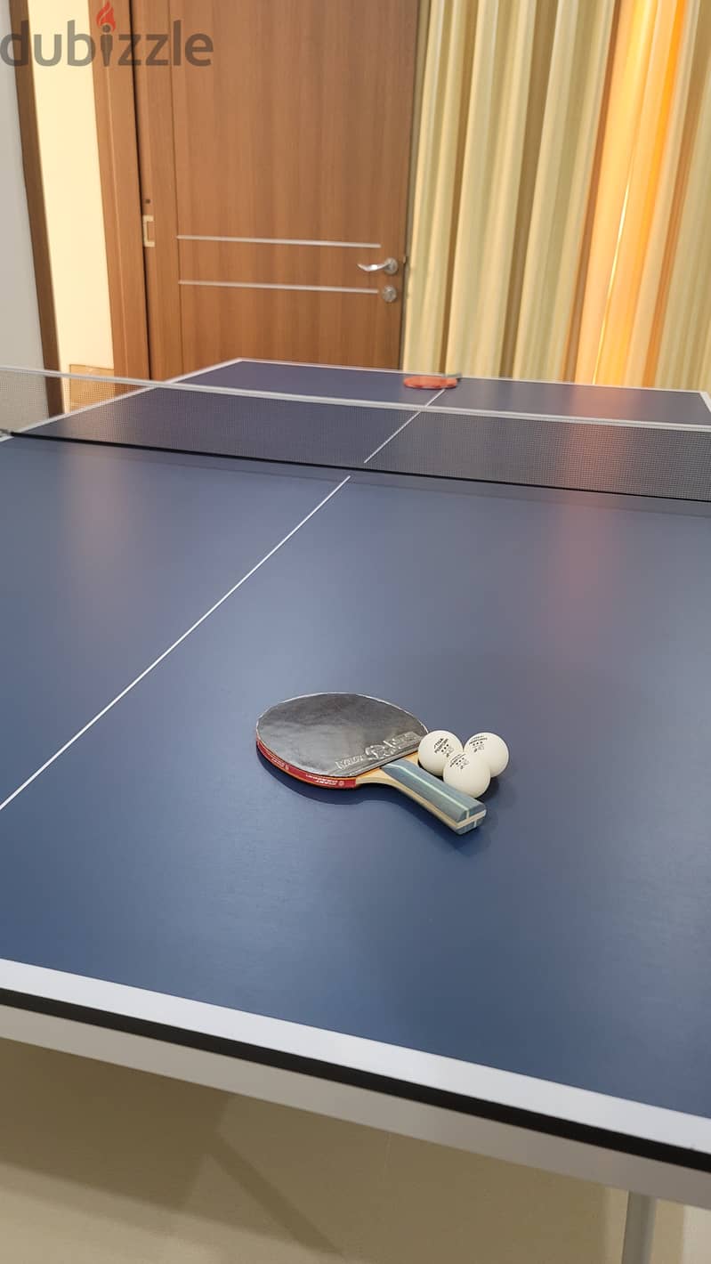 New Table Tennis with balls 4