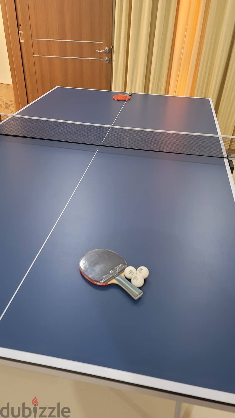 New Table Tennis with balls 5