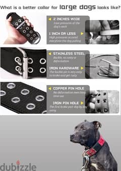 Dog collar / طوق كلاب 0