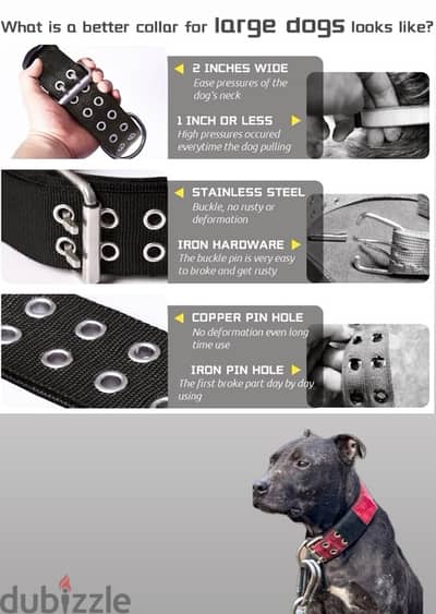 Dog collar / طوق كلاب