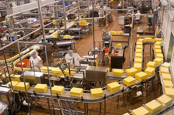 25 WORKERS for Cheese & Seafood Packaging in NORWAY 0