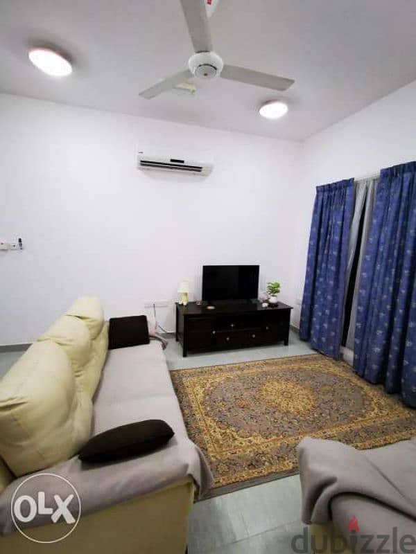 Furnished One bedroom apartment with A living room 2