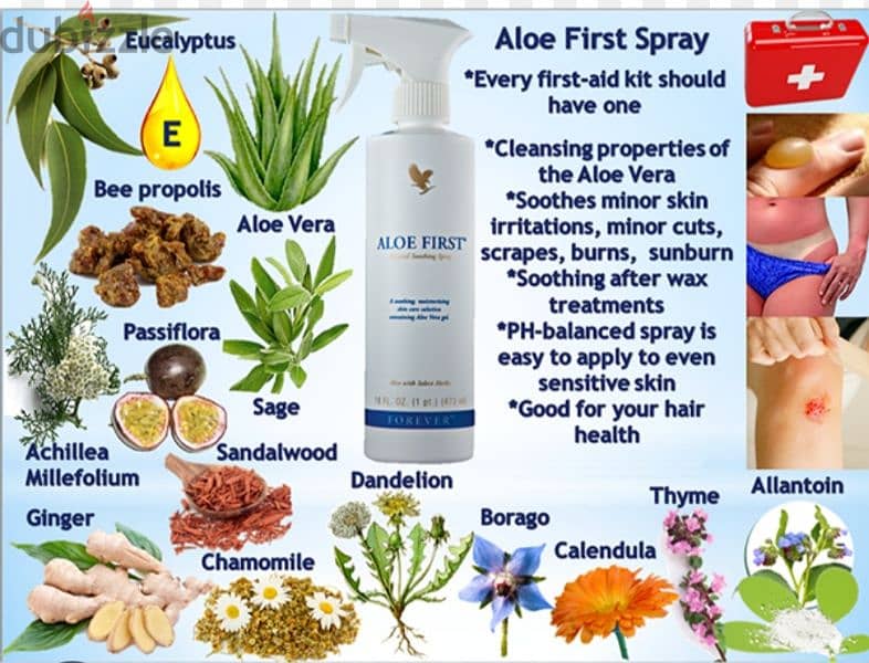 forever aloe first spray 6