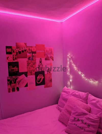 30M Smart Room LED Strip Lights