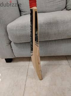 EW expert willow bat full profile very thick bottom 0