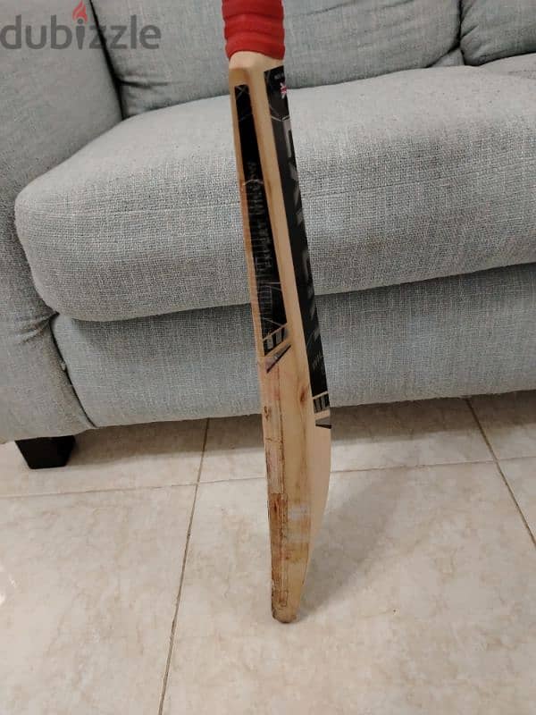 EW expert willow bat full profile very thick bottom 5