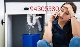 Expert Plumber & Electrician Maintenance House Building Flat Services 0