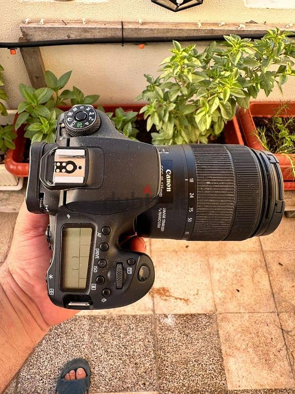 CANON EOS90D 2