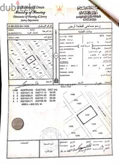 ارض بنزوى/ المعيمير ٤ قريبة من الخدمات بجوار المنازل والشارع المعبد 0