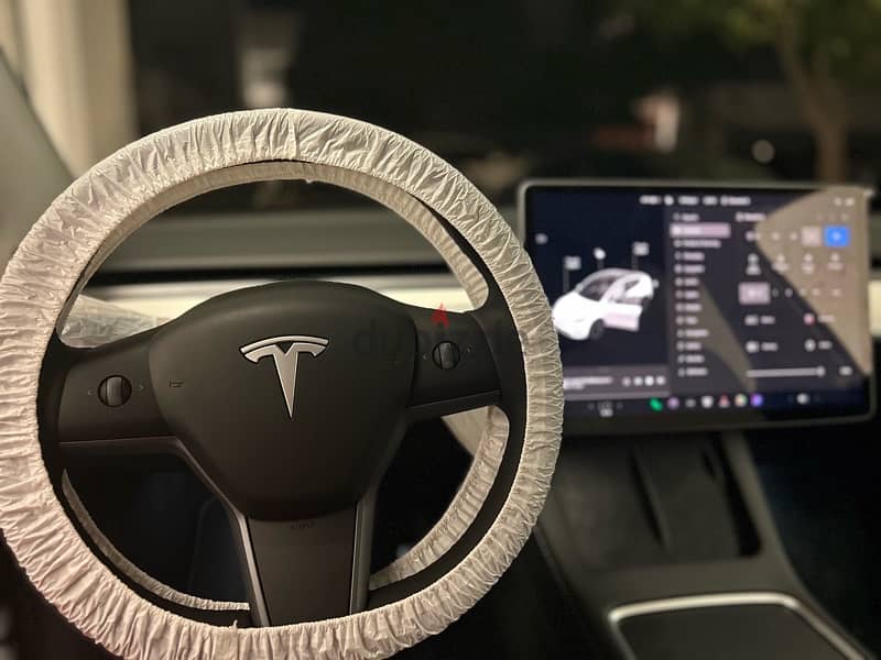 Tesla Model Y 2024 1