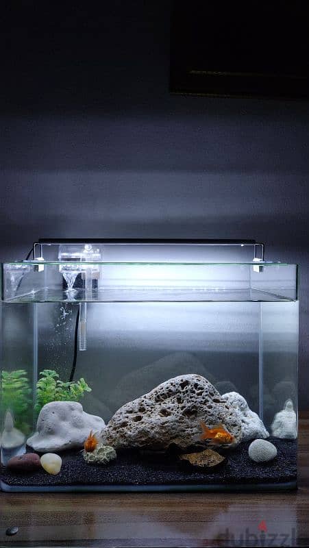 Fish tank full setup 4