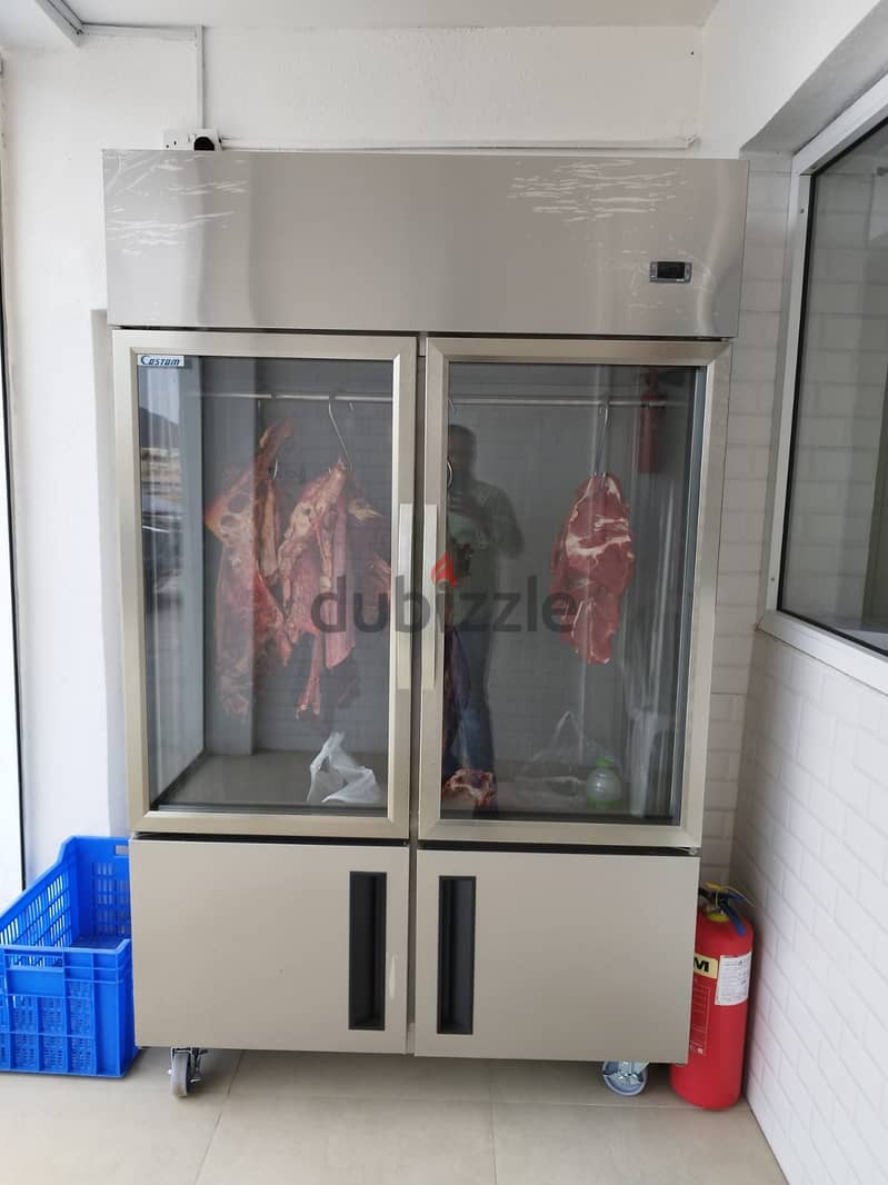 Meat and chicken refrigerator and freezers 95517463 2