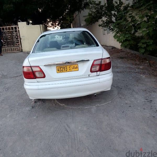 Nissan Sunny 2003 1