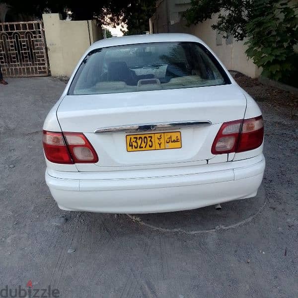 Nissan Sunny 2003 4