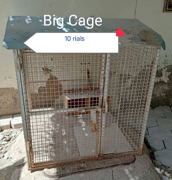 Big Cage and Big Cat House for sale 1