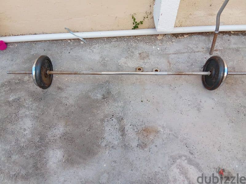 barbell and curl barbell 1