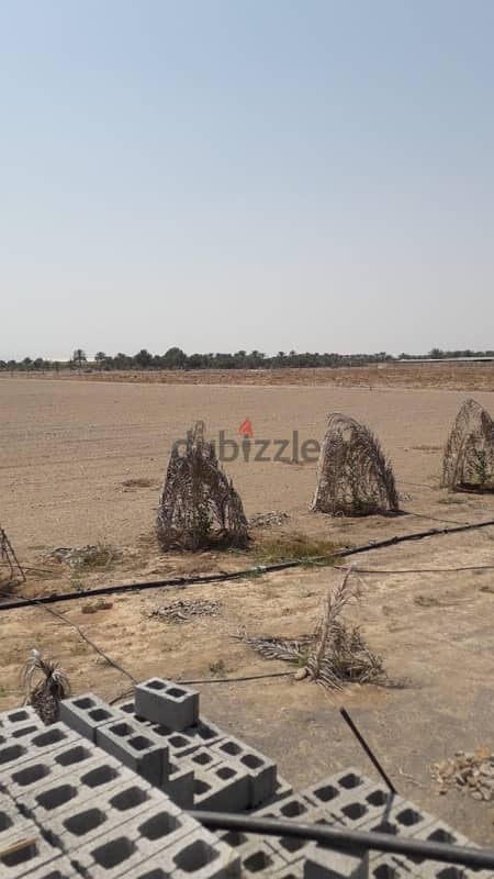 big land for sale 2