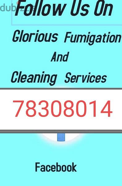 home cleaning house cleaning apartment cleaning villa cleaning flat 0