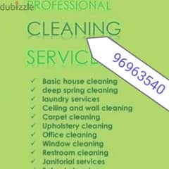 home cleaning villa apartment house cleaning building cleaning 0