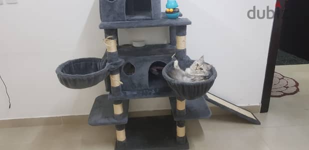 cat tree house for 30% off sale