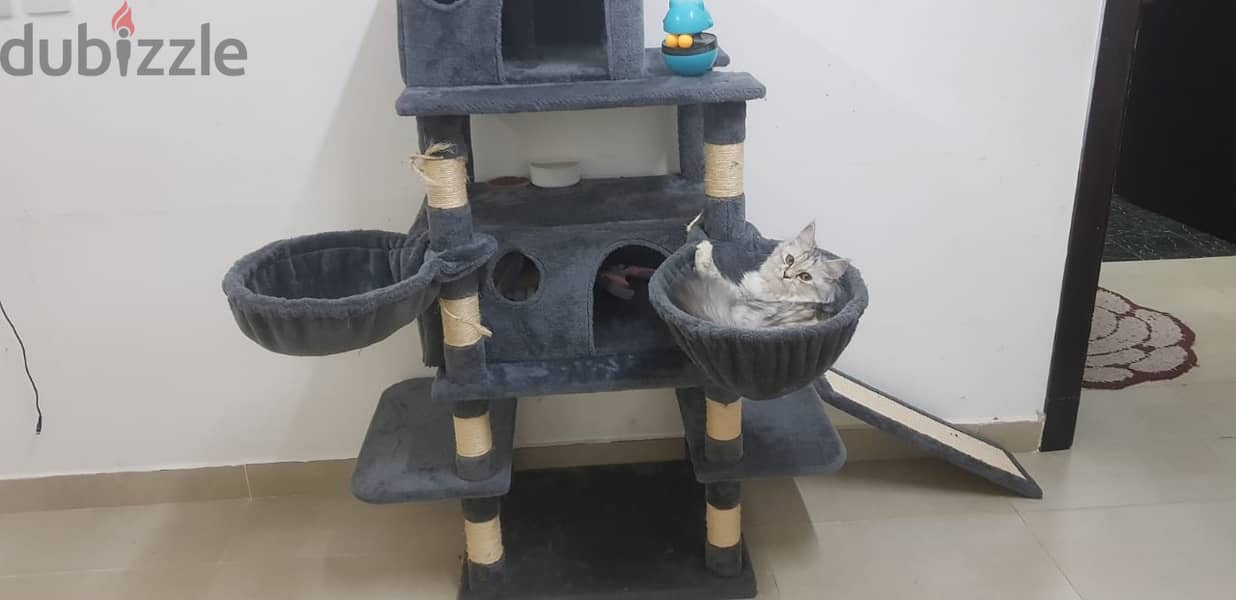 cat tree house for 30% off sale 1