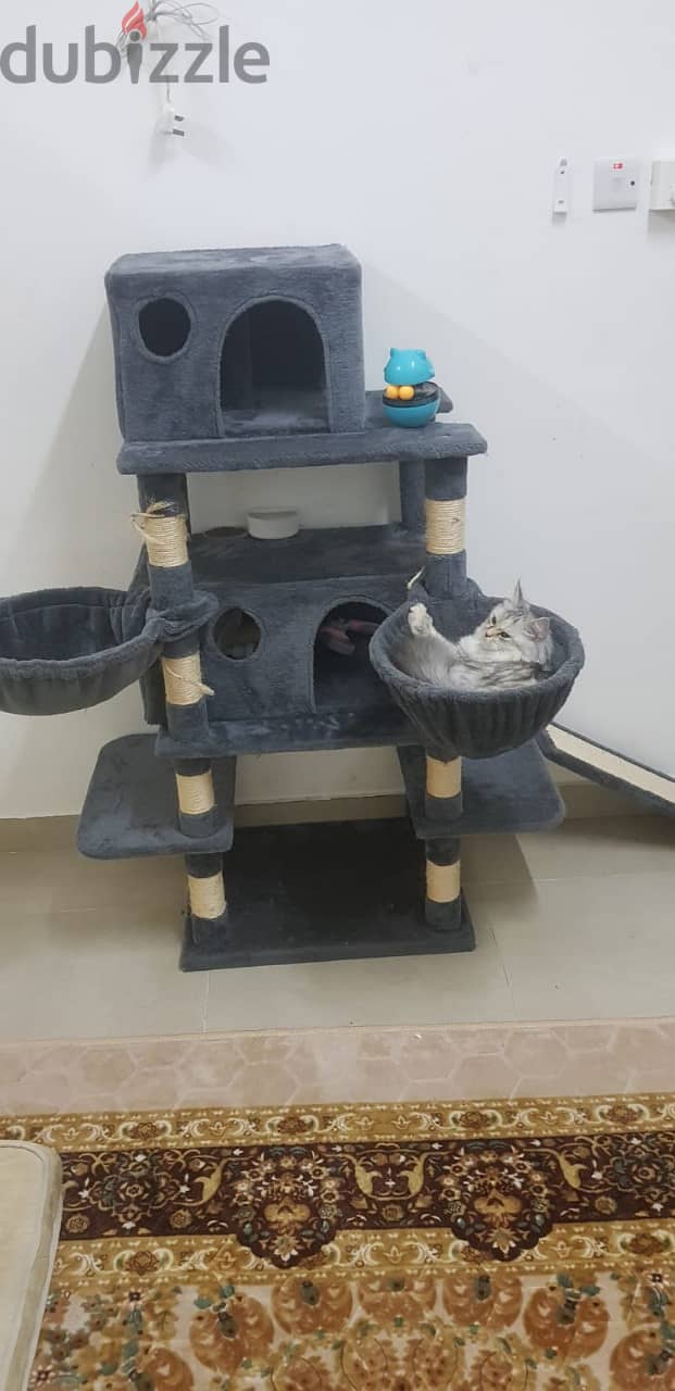 cat tree house for 30% off sale 2