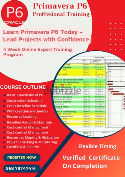 Primavera Online Training