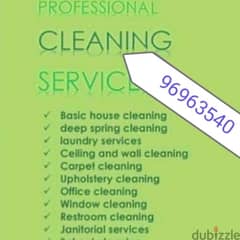 home cleaning house cleaning apartment cleaning villa cleaning flat 0