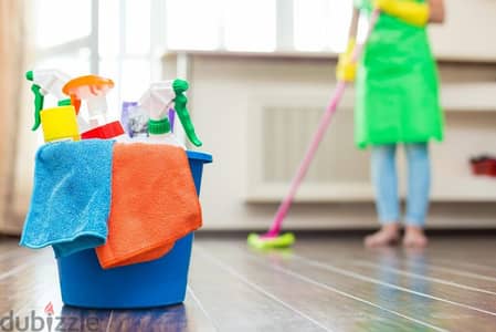 CAR WASH AND HOUSE CLEANING SERVICES