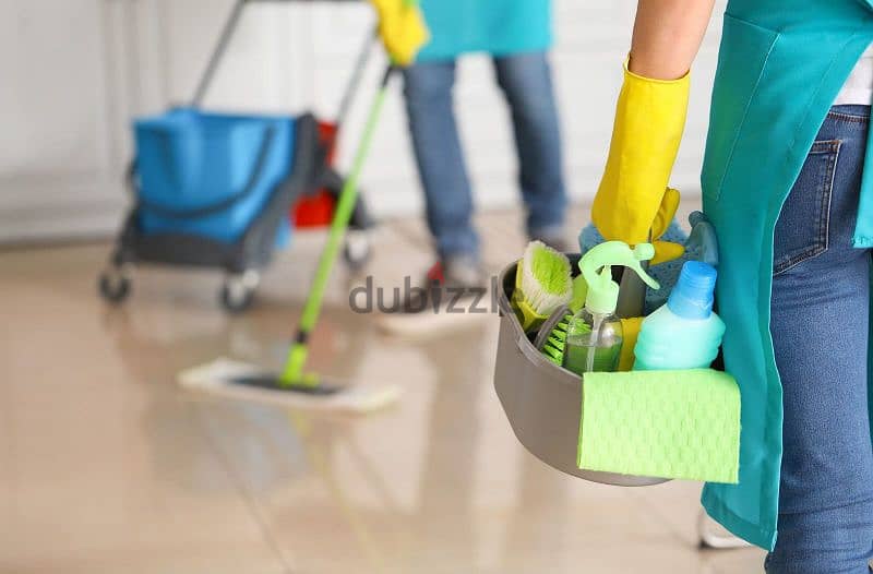 professional house, villa, building, office, school cleaning service 0