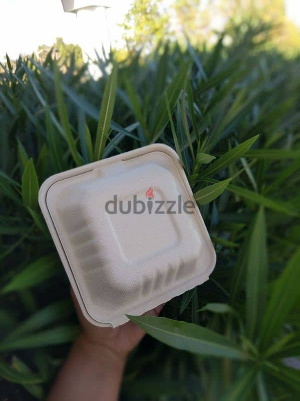 compostable  disposable plates 1