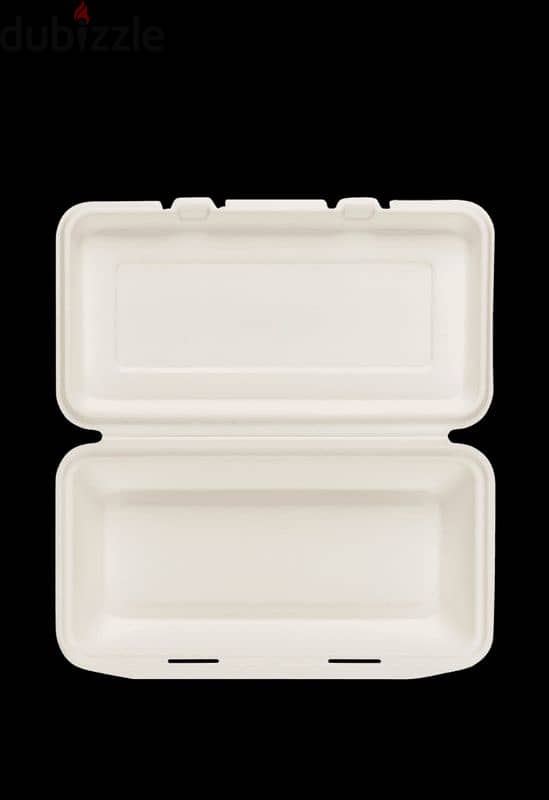 compostable  disposable plates 2