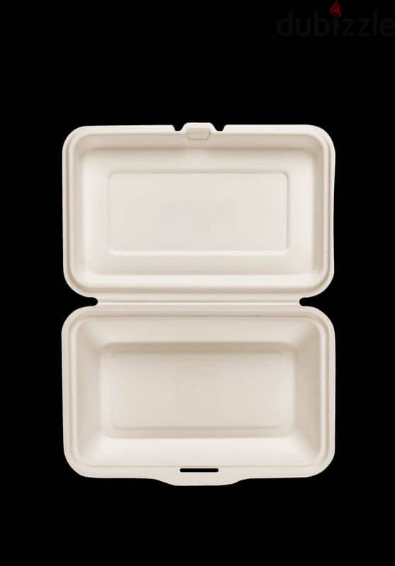 compostable  disposable plates 3