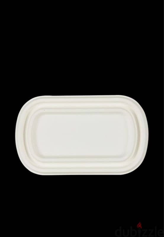 compostable  disposable plates 7