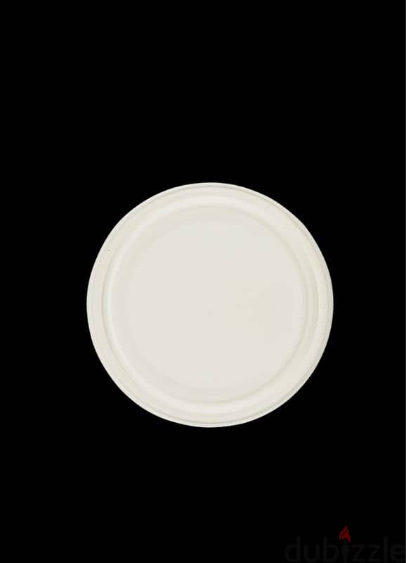 compostable  disposable plates 9