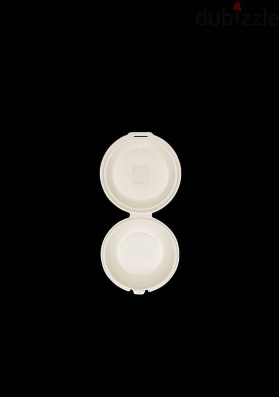 compostable  disposable plates 10