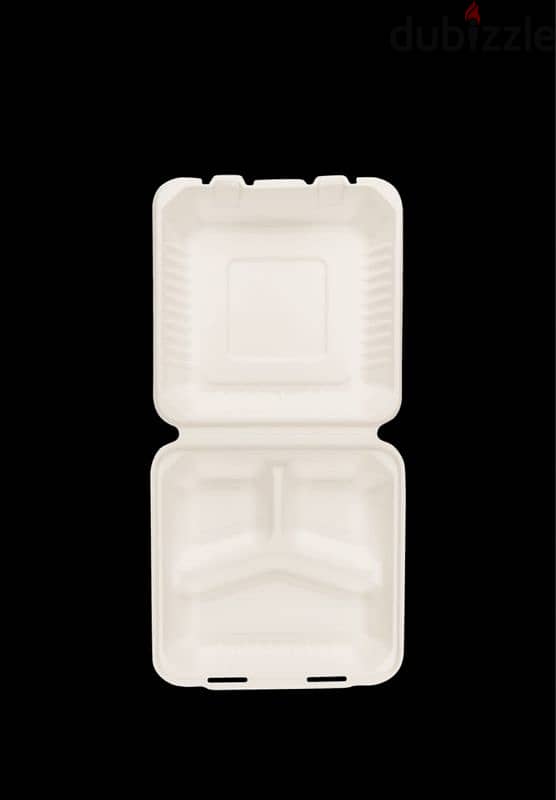 compostable  disposable plates 11