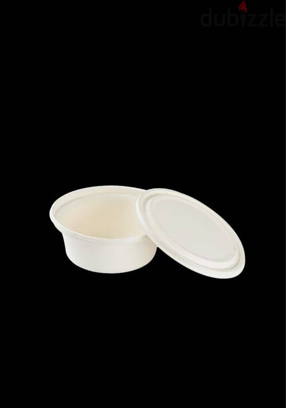 compostable  disposable plates 14