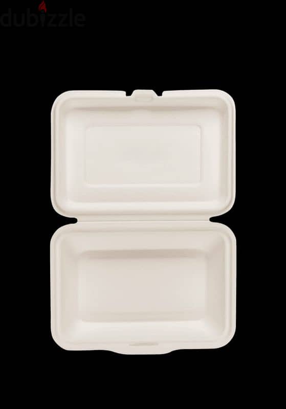 compostable  disposable plates 17