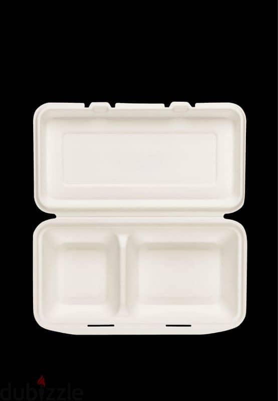 compostable  disposable plates 18