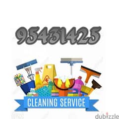 house cleaning service 0