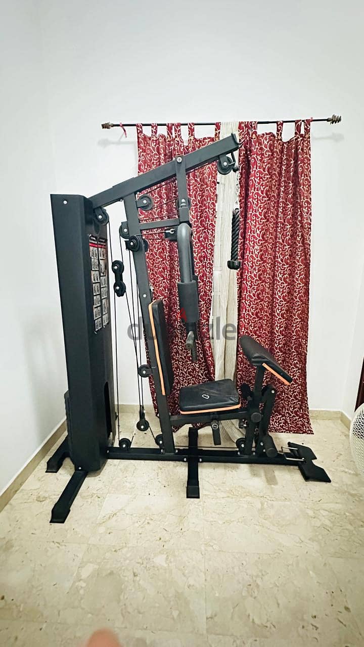 Indoor Gym Set 0