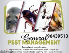 Muscat general pest control service +968 9643 9513 0