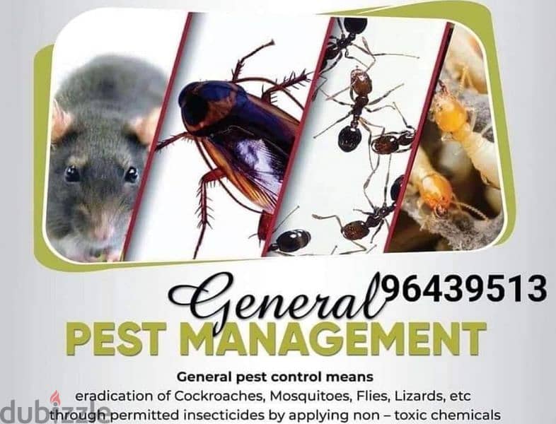 Muscat general pest control service +968 9643 9513 0