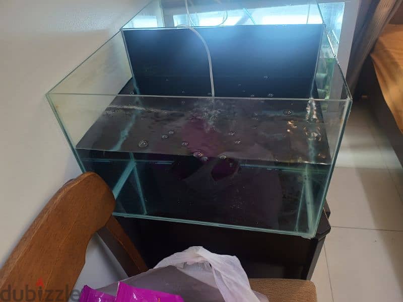 fish tank new 4