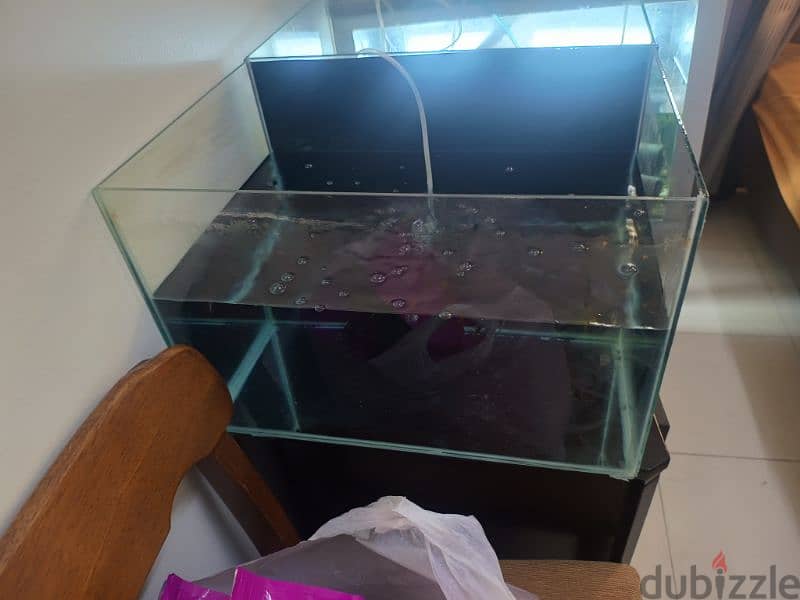 fish tank new 5