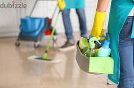 best home villa office apartment deep cleaning services 0