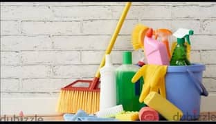 best home villa office apartment deep cleaning services 0